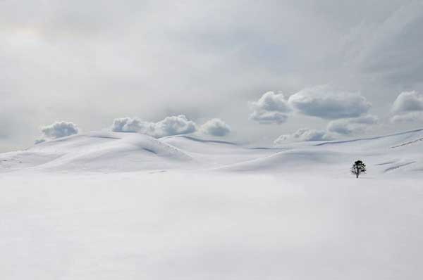 perierga.gr - O κόσμος στο χιόνι σε 10 όμορφες εικόνες!